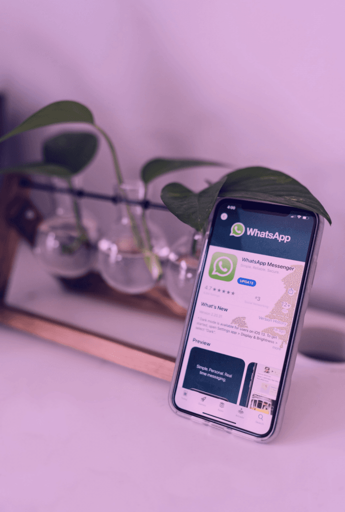 WhatsApp terá recurso de fotos e vídeos que se autodestroem, diz site